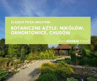 Botaniczne azyle: Mikołów, Ornontowice, Chudów