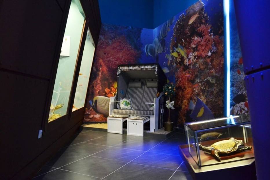 muzeum
