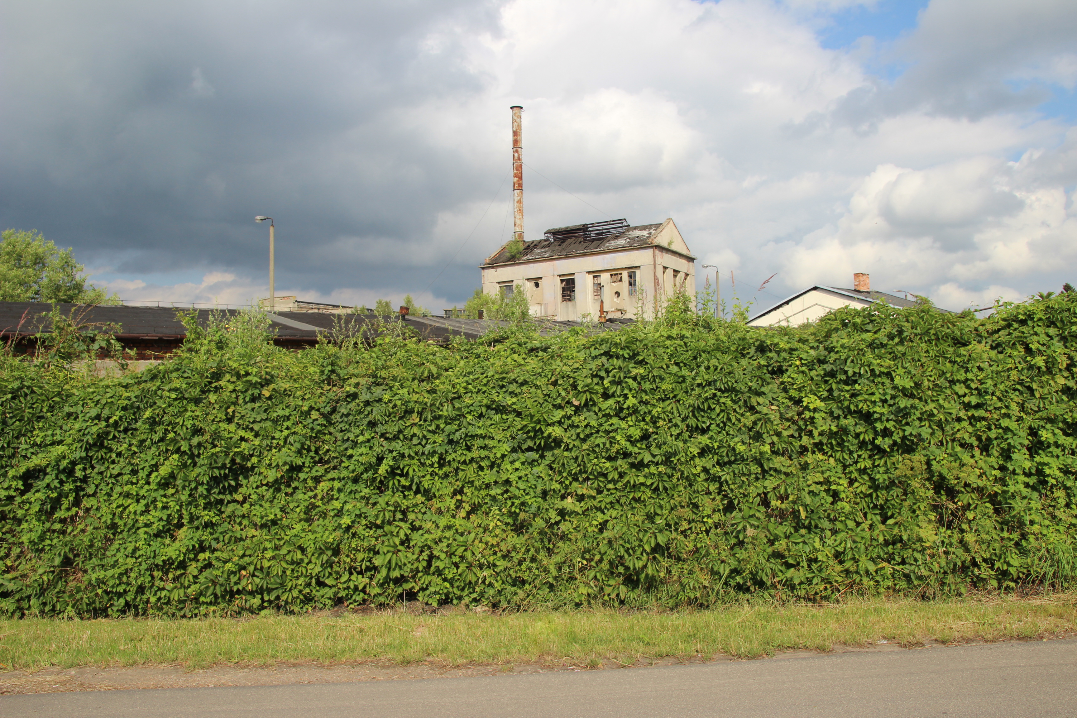 Pozostałości po fabryce tektury - Masłoński
