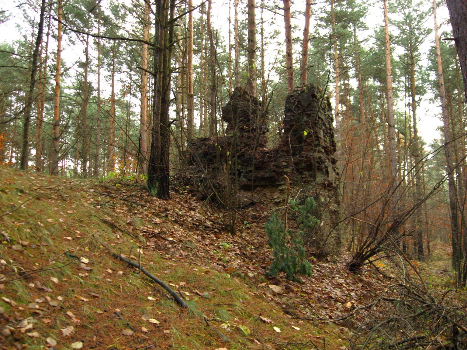 Ruiny prochowni w Ogrodzieńcu fot. R.Rębisz