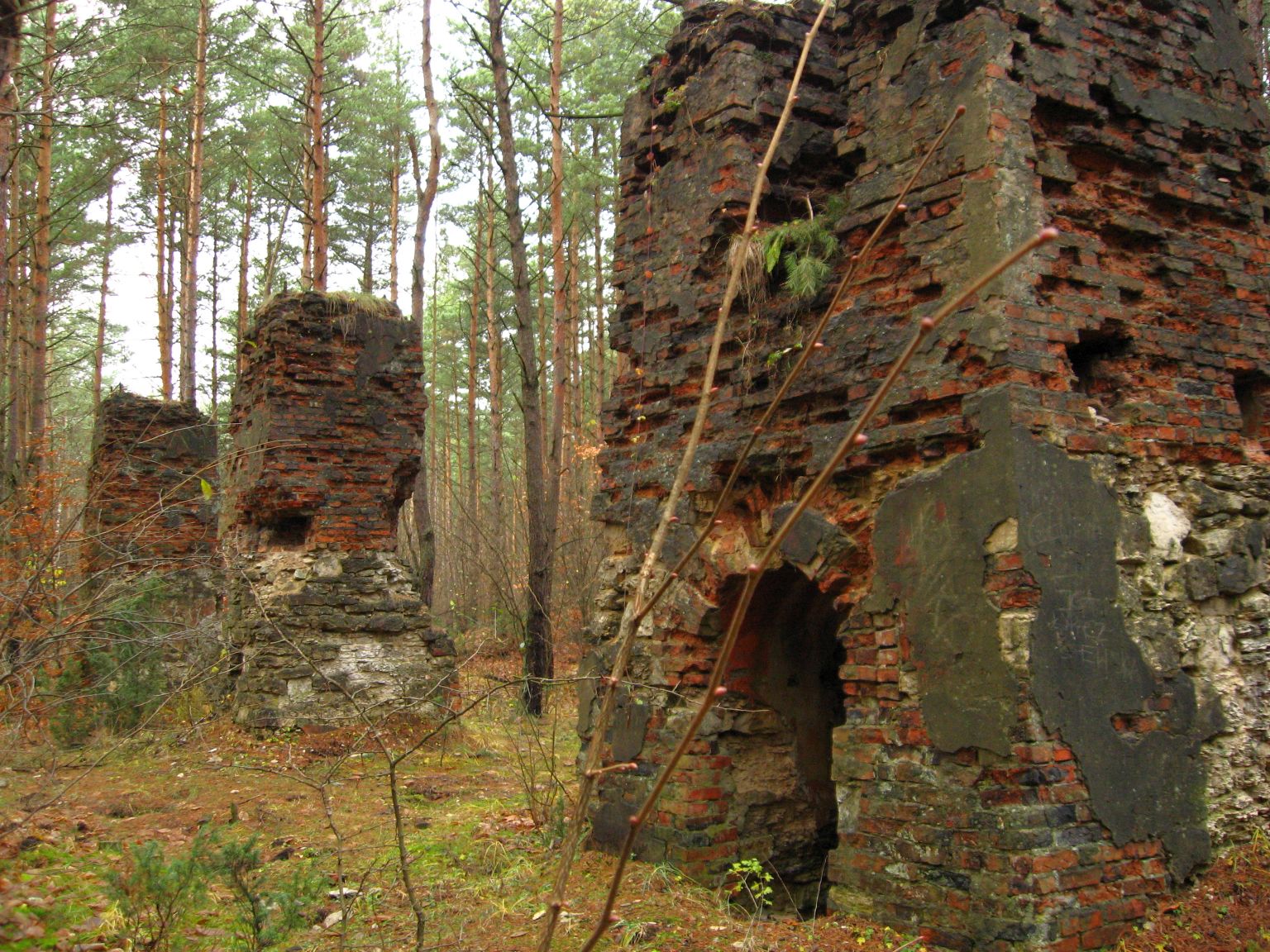 Ruiny prochowni w Ogrodzieńcu fot. R.Rębisz
