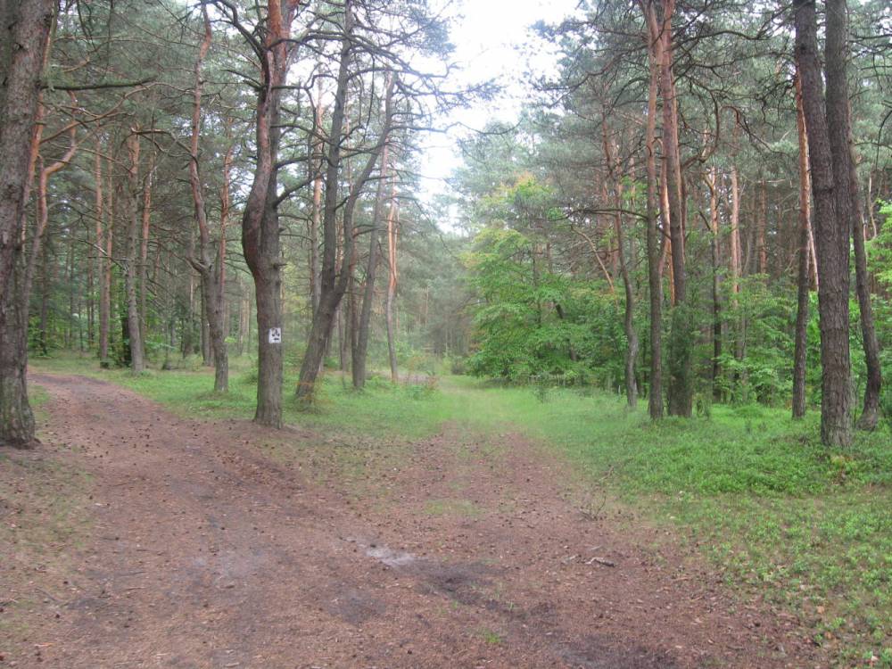 Szlak edukacyjny Zielony HutkiKanki Śląskie. Infor...