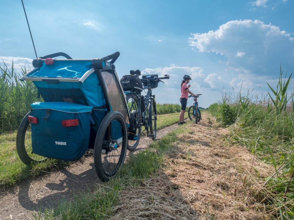 Rowerem z dzieckiem: Goczałkowice - Pszczyna