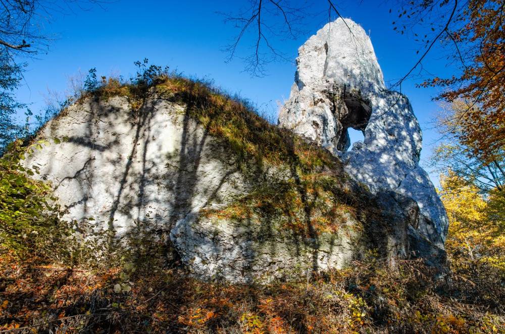 10. Okiennik Mały