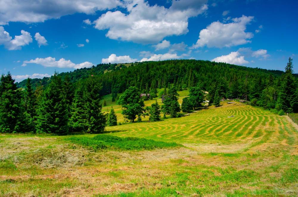 19. Przełęcz Klekociny oraz Beskidek
