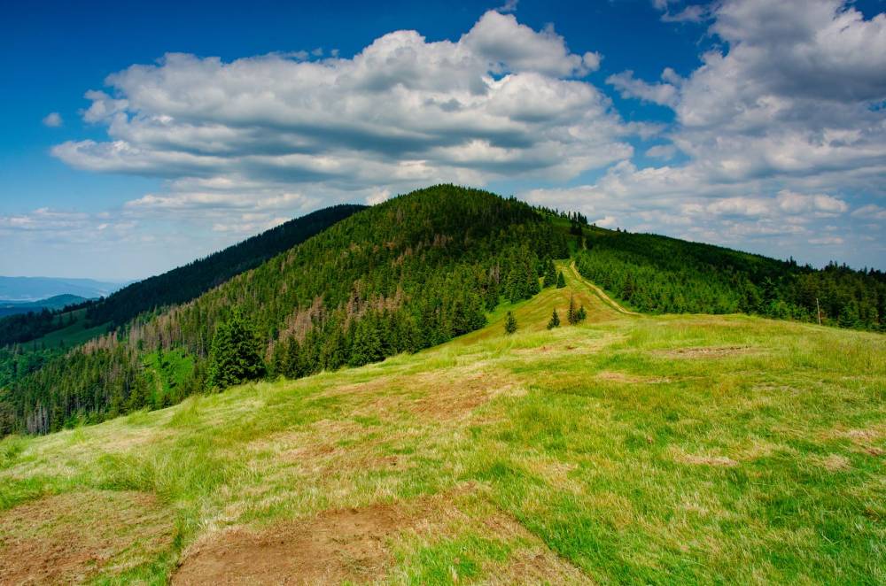 16. Romanka z Pawlusiej Hali