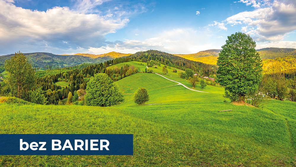 Śląskie bez Barier