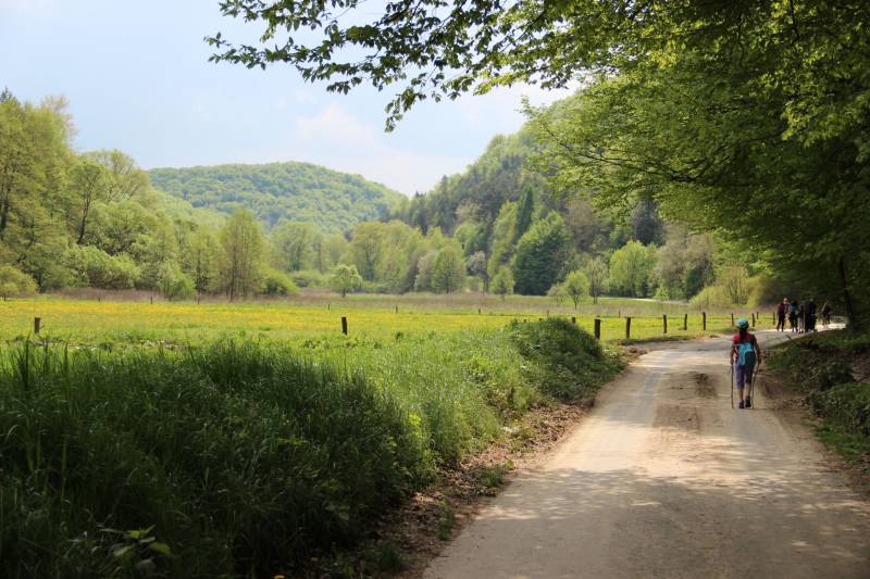 Dolina Będkowska fot. Rafał Rębisz