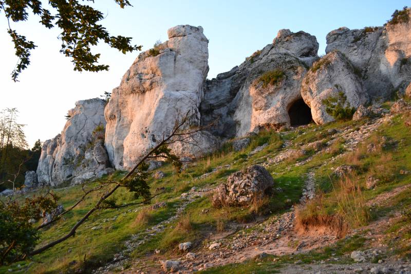 Rezerwat Góra ZBorów fot. Rafał Rębisz