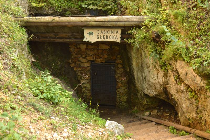 Jaskinia Głęboka - Rezerwat Góra ZBorów fot. Rafał Rębisz