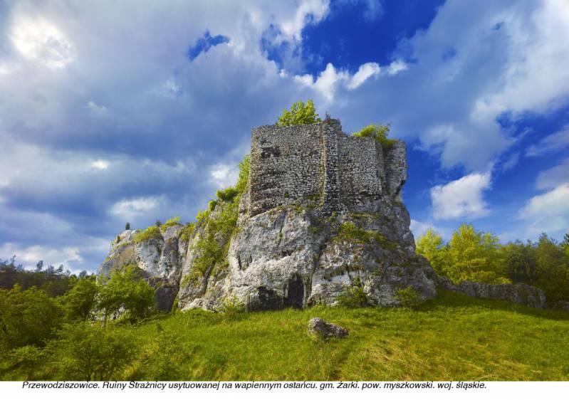 Strażnica w Przewodziszowicach fot. Tomasz Renk