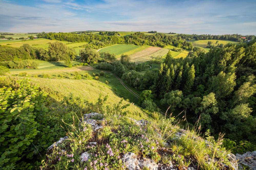 Dłubniański Park Krajobrazowy fot. Jakub Krawczyk