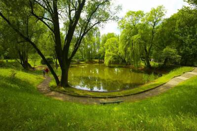 Ciekawe ogrody botaniczne w Metropolii. Idealne na rodzinny spacer wśród zieleni.
