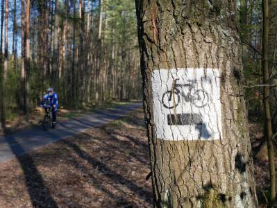 5 najpiękniejszych i najstarszych lasów w Metropolii. Płuca Metropolii.