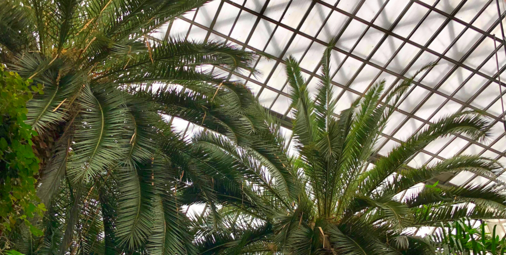 Wypoczynek z rodziną na Górnym Śląsku