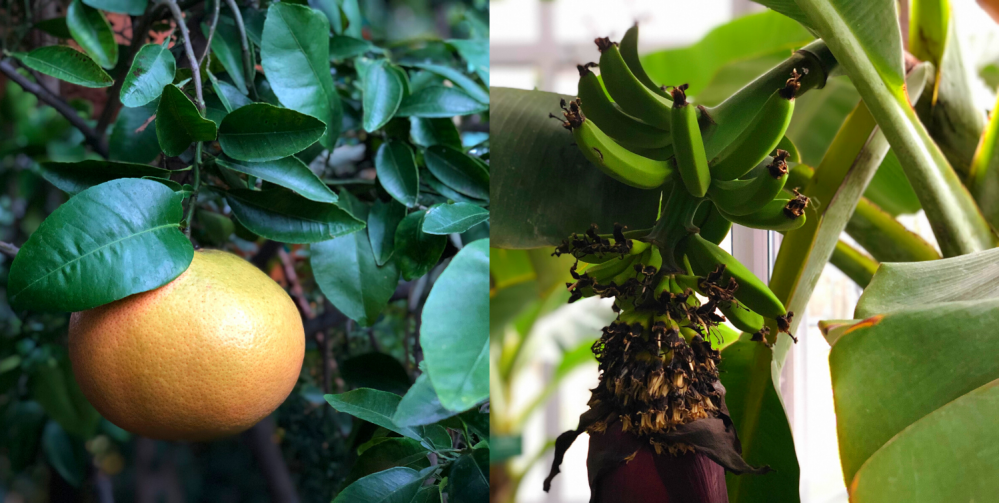 Wypoczynek z rodziną na Górnym Śląsku