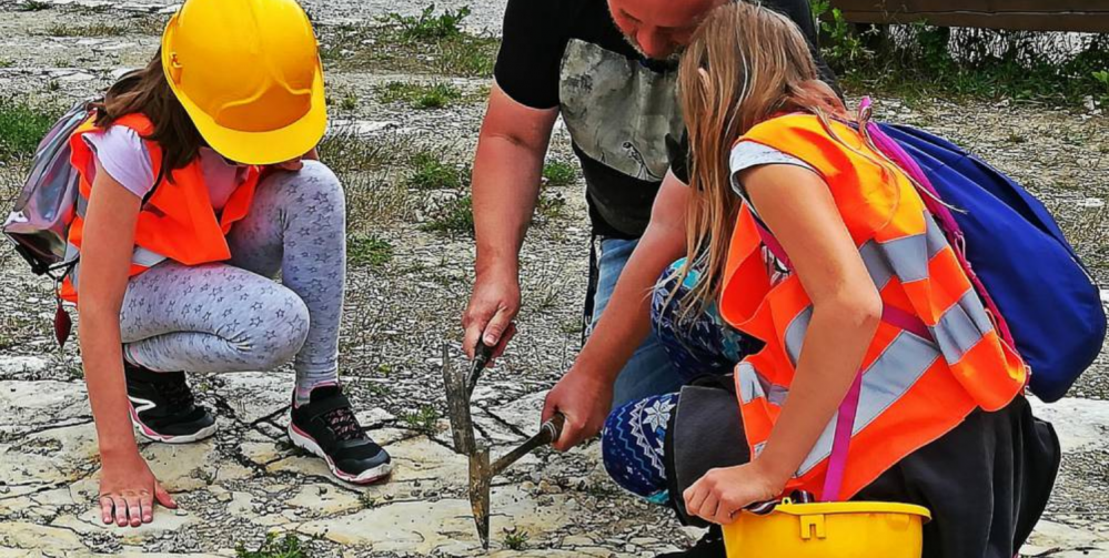 Wyprawy przyrodnicze z dziećmi