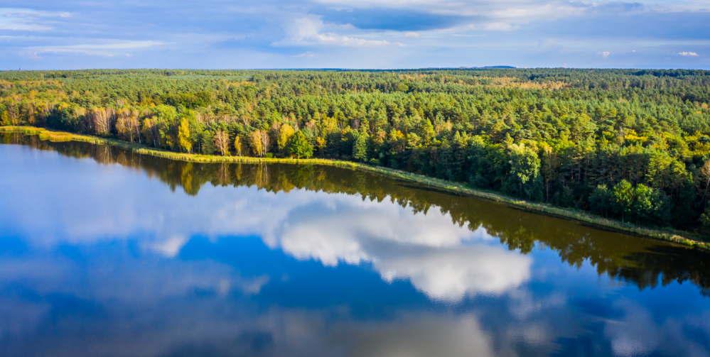 Wycieczka rowerowa z dzieckiem