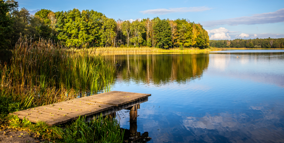 Wycieczka rowerowa z dzieckiem