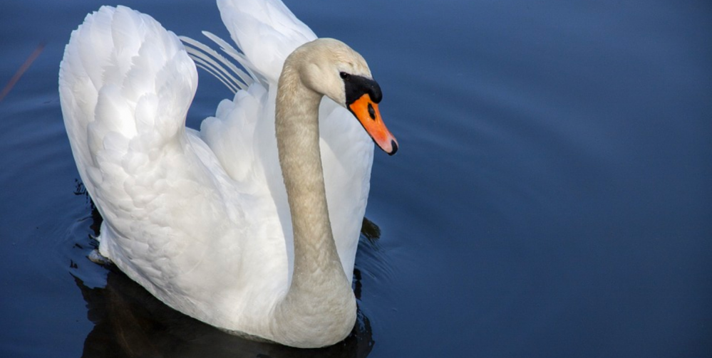 Wycieczka rowerowa z dzieckiem