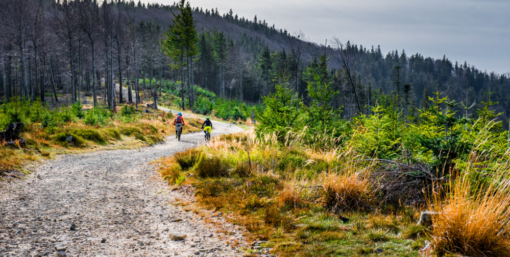 Atrakcje w Bielsku-Białej