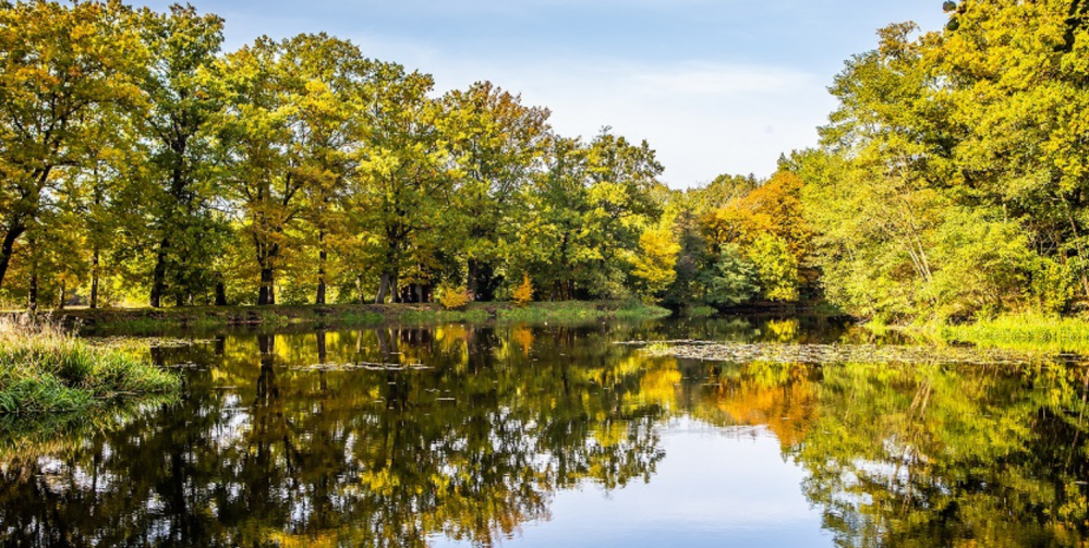 Rudy i atrakcje dla dzieci