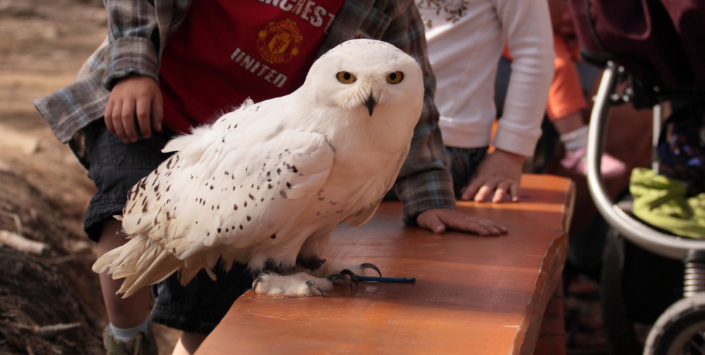 W Beskidach z dzieckiem