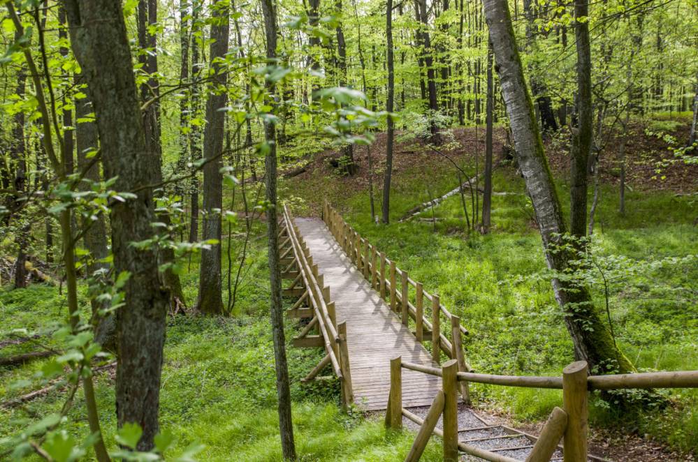 Szwajcaria Rachowicka