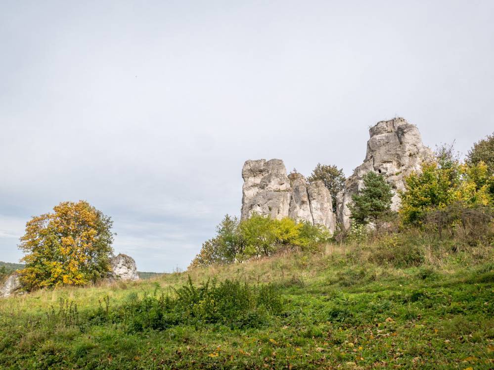 Szlak Zamków
