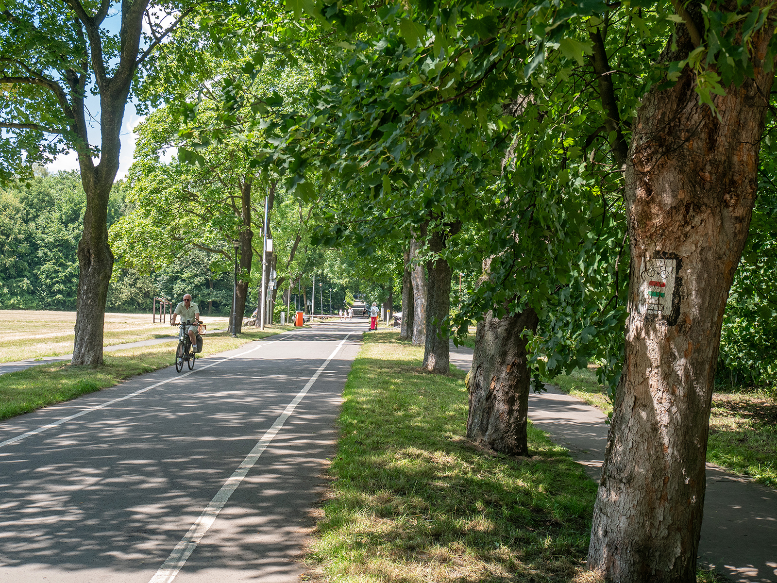 park-slaski-aktywnie1