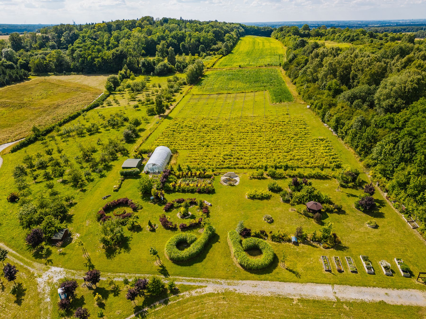 4-BIRDABO-STUDIO-Ogród Czerwony